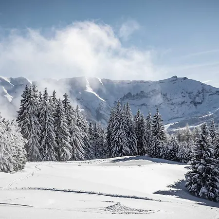 Апартаменты Duplex Lumineux A Megeve, Proche Telecabine Du Jaillet, 2 En Suite, Parking, Casier A - Fr-1-569-77