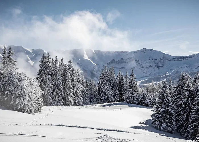 Апартаменты Duplex Lumineux A Megeve, Proche Telecabine Du Jaillet, 2 En Suite, Parking, Casier A - Fr-1-569-77